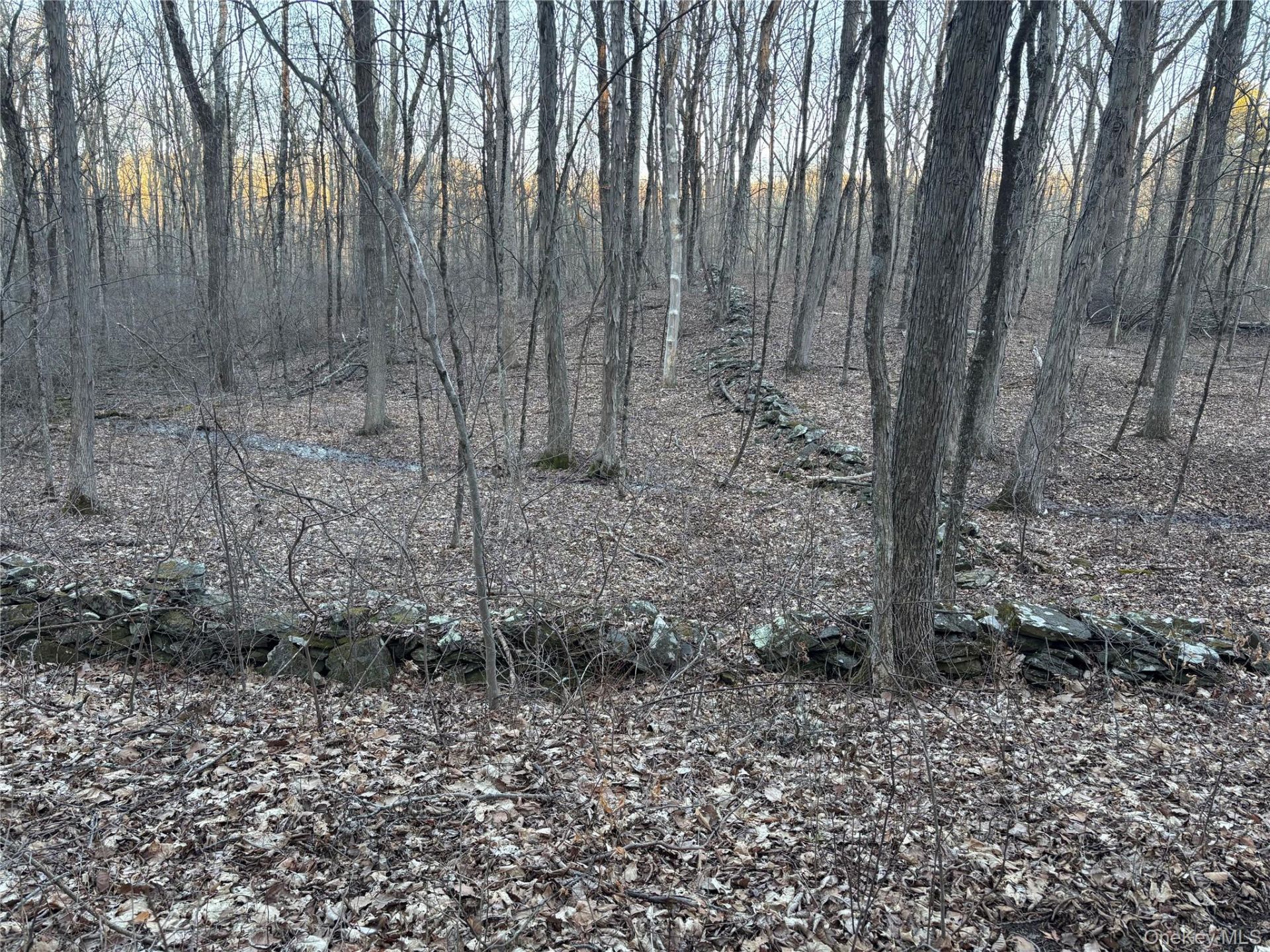 Barkit Kennel Rd , Pleasant Valley, NY 12569 Main Photo