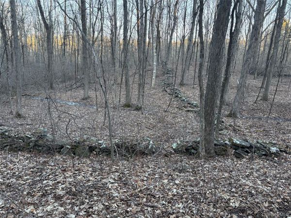 Barkit Kennel Rd , Pleasant Valley, NY 12569