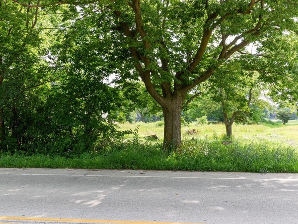 630 Green Bay Rd, Thiensville, WI 53092