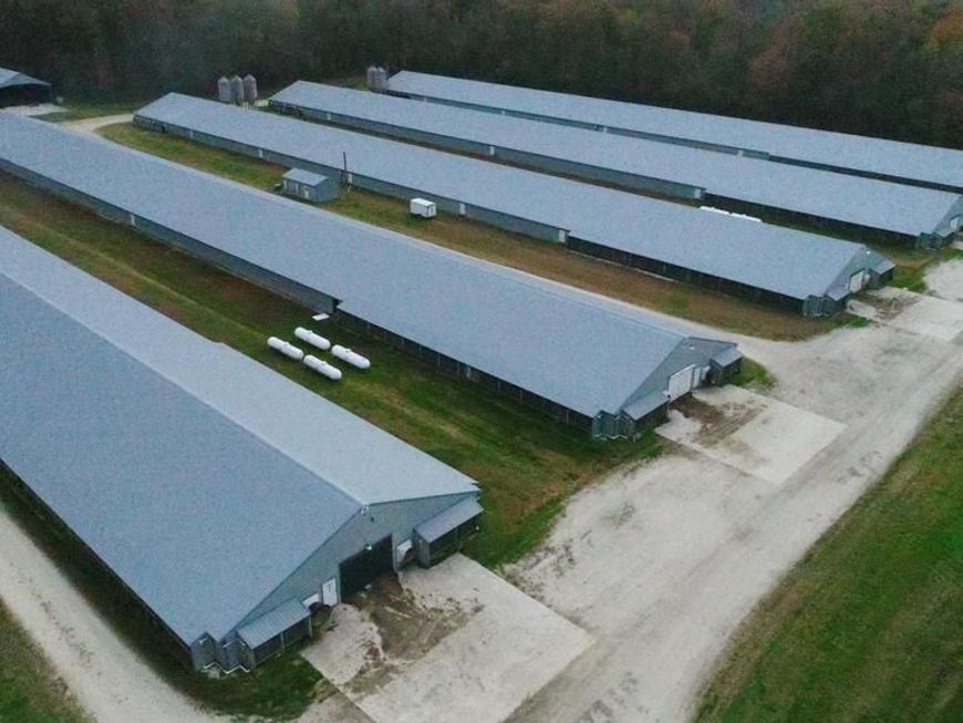 24795 Cherry Lane Lane E , Greensboro, MD 21639 Main Photo