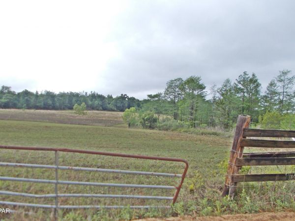 00 Express Road , Grand Ridge, FL 32442