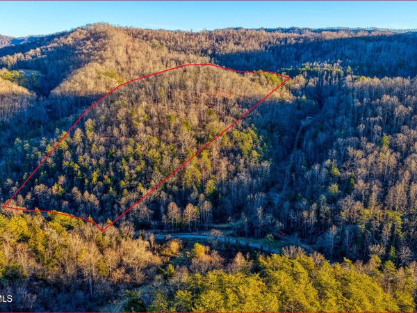 Tbd East Pumpkin Valley Road, Eidson, TN 37731