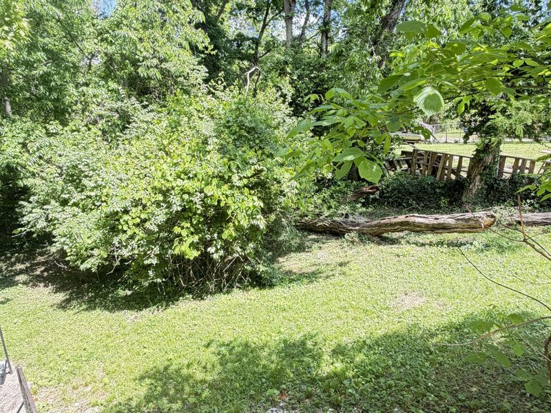 1106 John Street, Covington, KY 41016 Photo 8