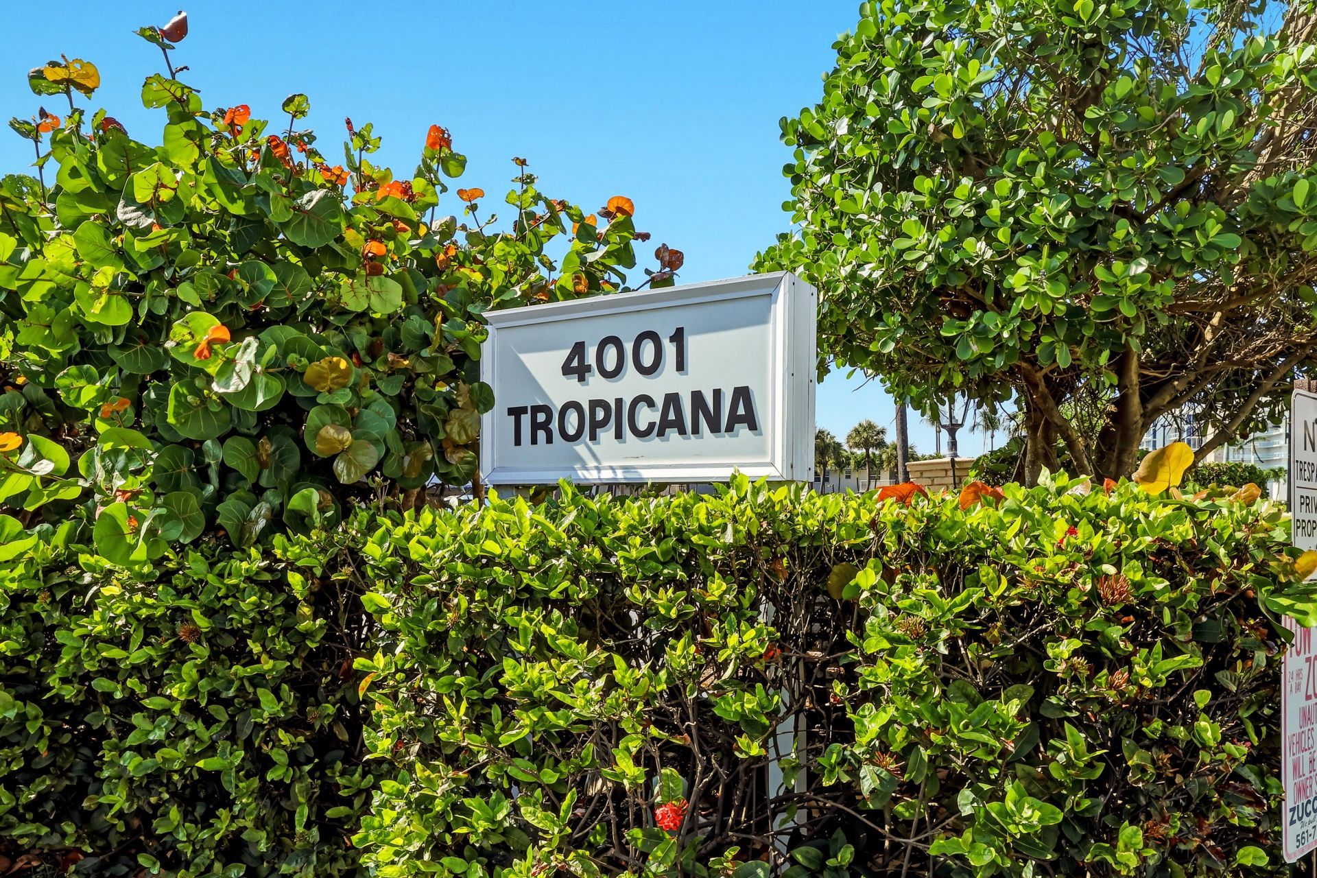 4001 S Ocean Boulevard, Unit 209, South Palm Beach, FL 33480 Photo