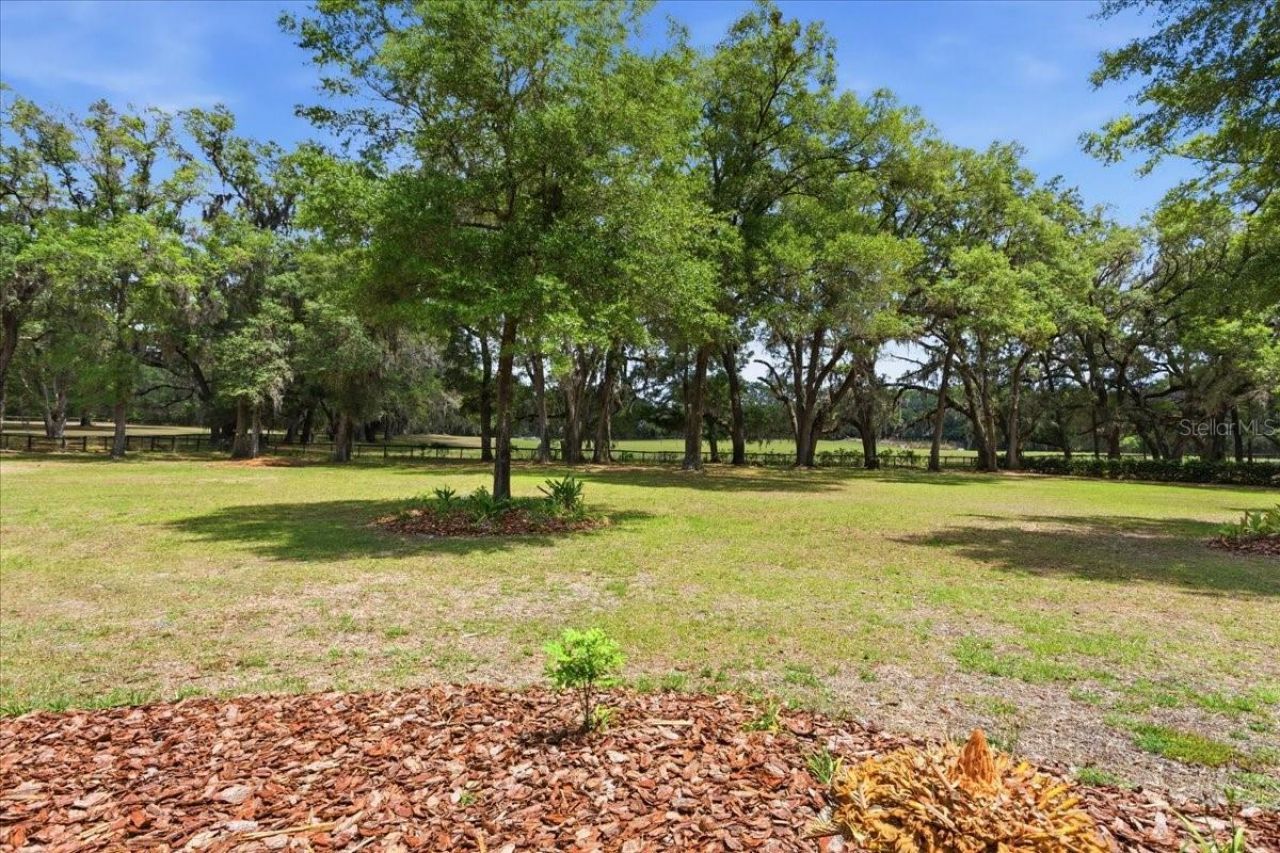7369 NW 187th Terrace, Alachua, FL 32615 Photo