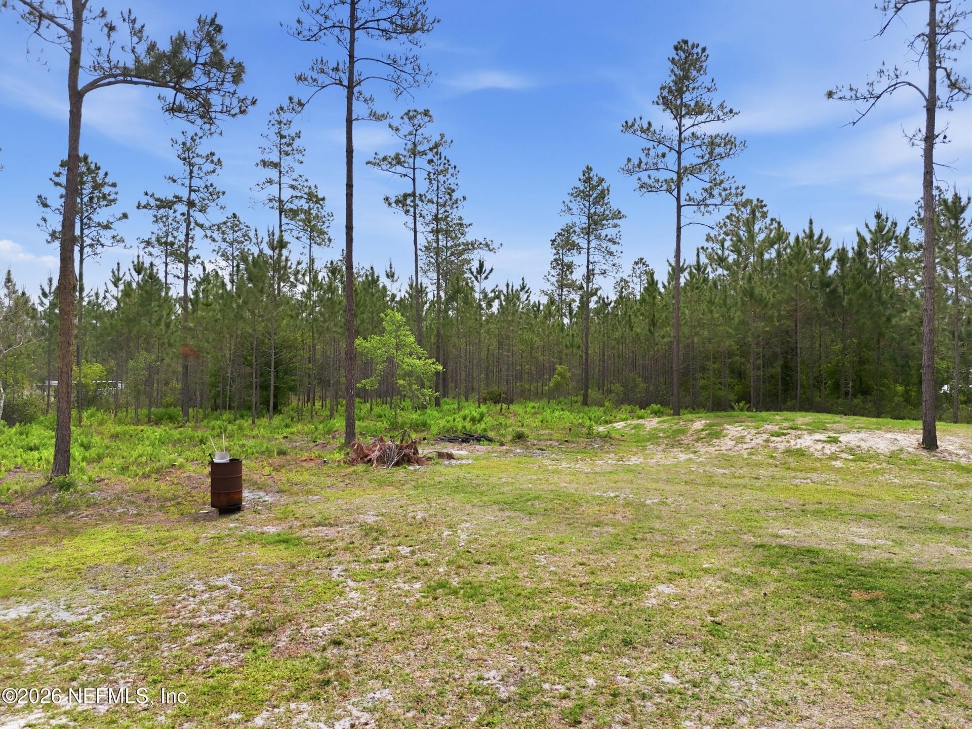 2626 Will Elledge Road, Glen St. Mary, FL 32040 Photo