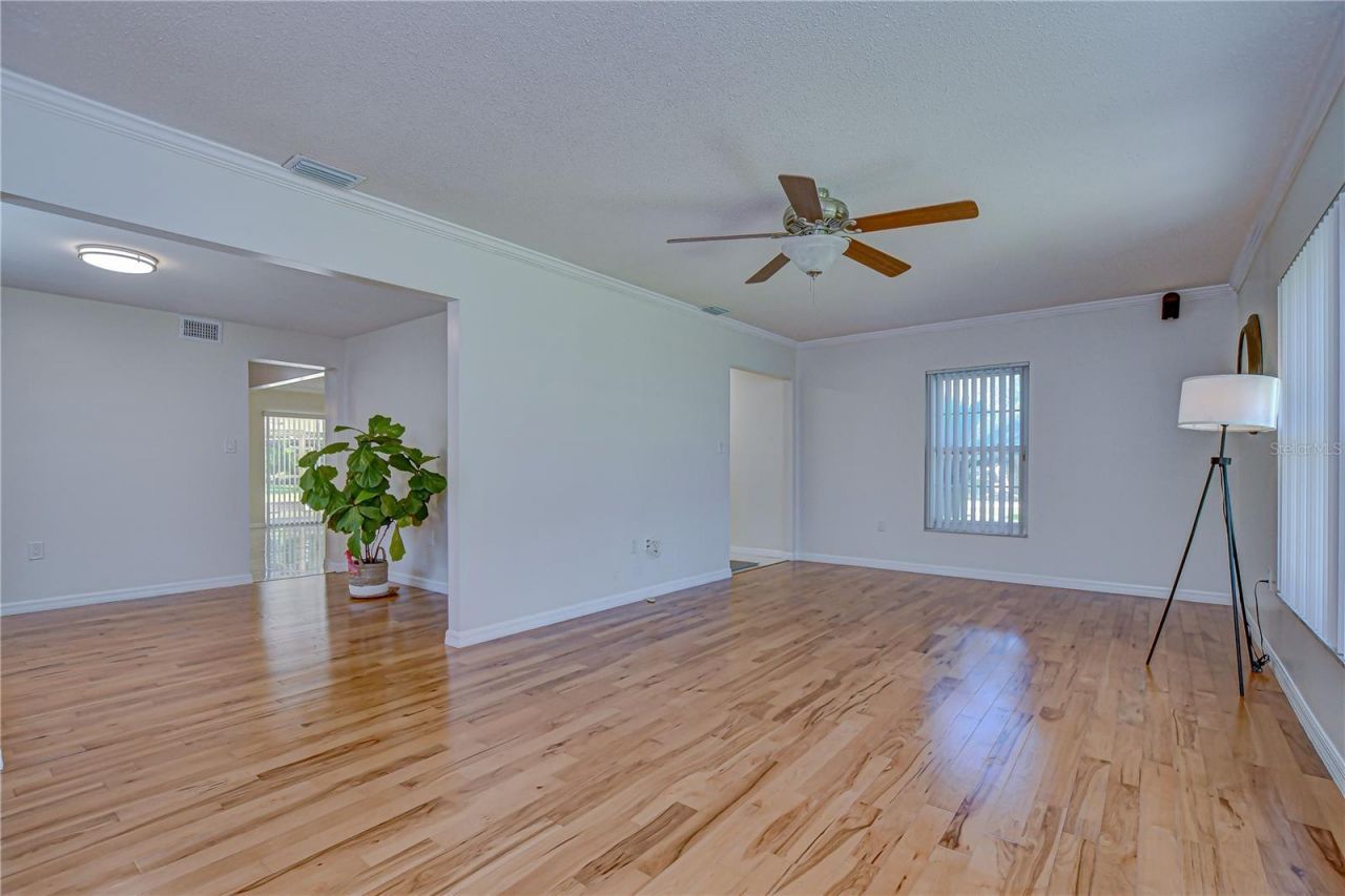11912 Riverhills Drive, Tampa, FL 33617 Photo