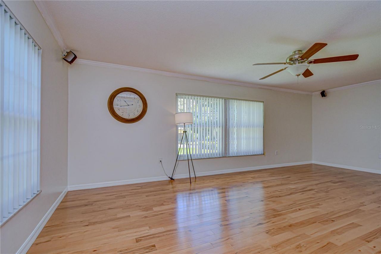 11912 Riverhills Drive, Tampa, FL 33617 Photo