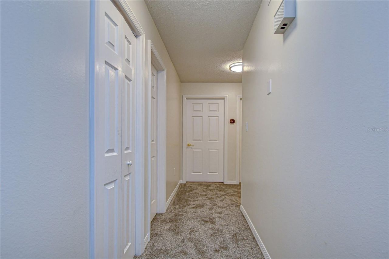 11912 Riverhills Drive, Tampa, FL 33617 Photo