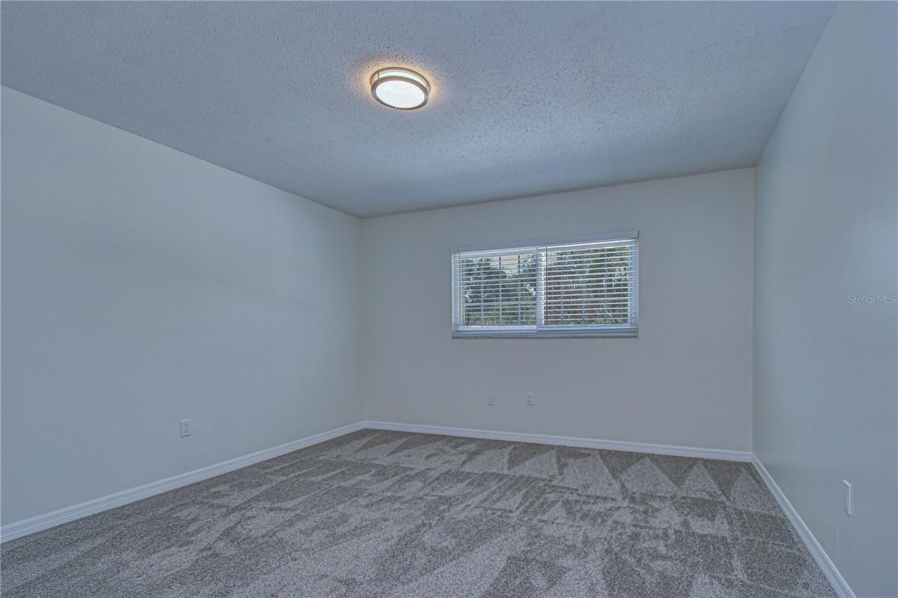 11912 Riverhills Drive, Tampa, FL 33617 Photo