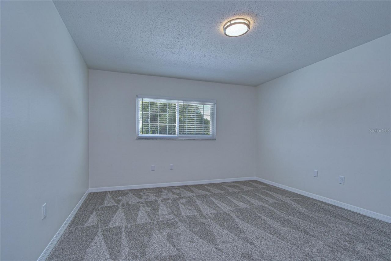 11912 Riverhills Drive, Tampa, FL 33617 Photo