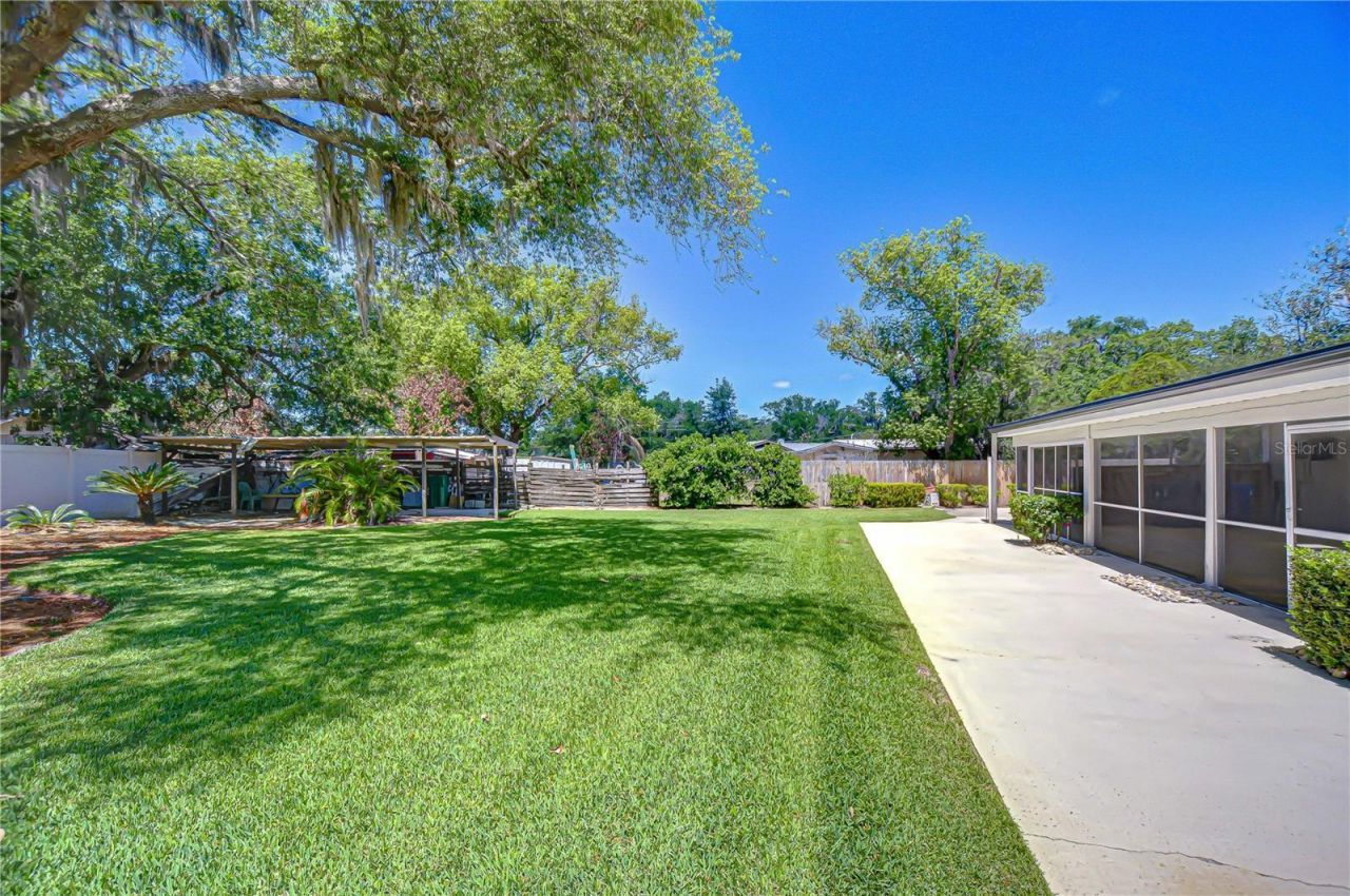 11912 Riverhills Drive, Tampa, FL 33617 Photo