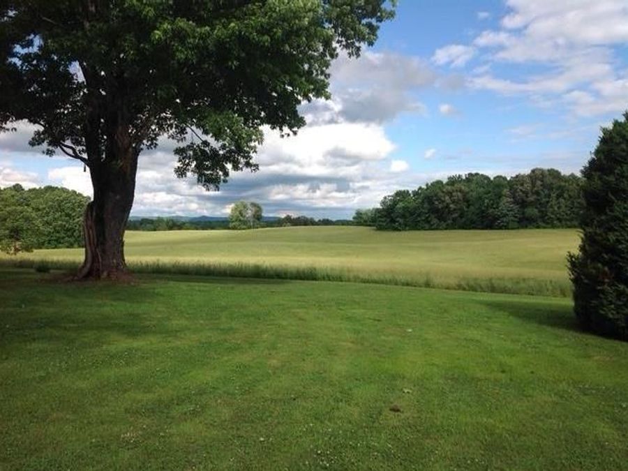 Property Image 59