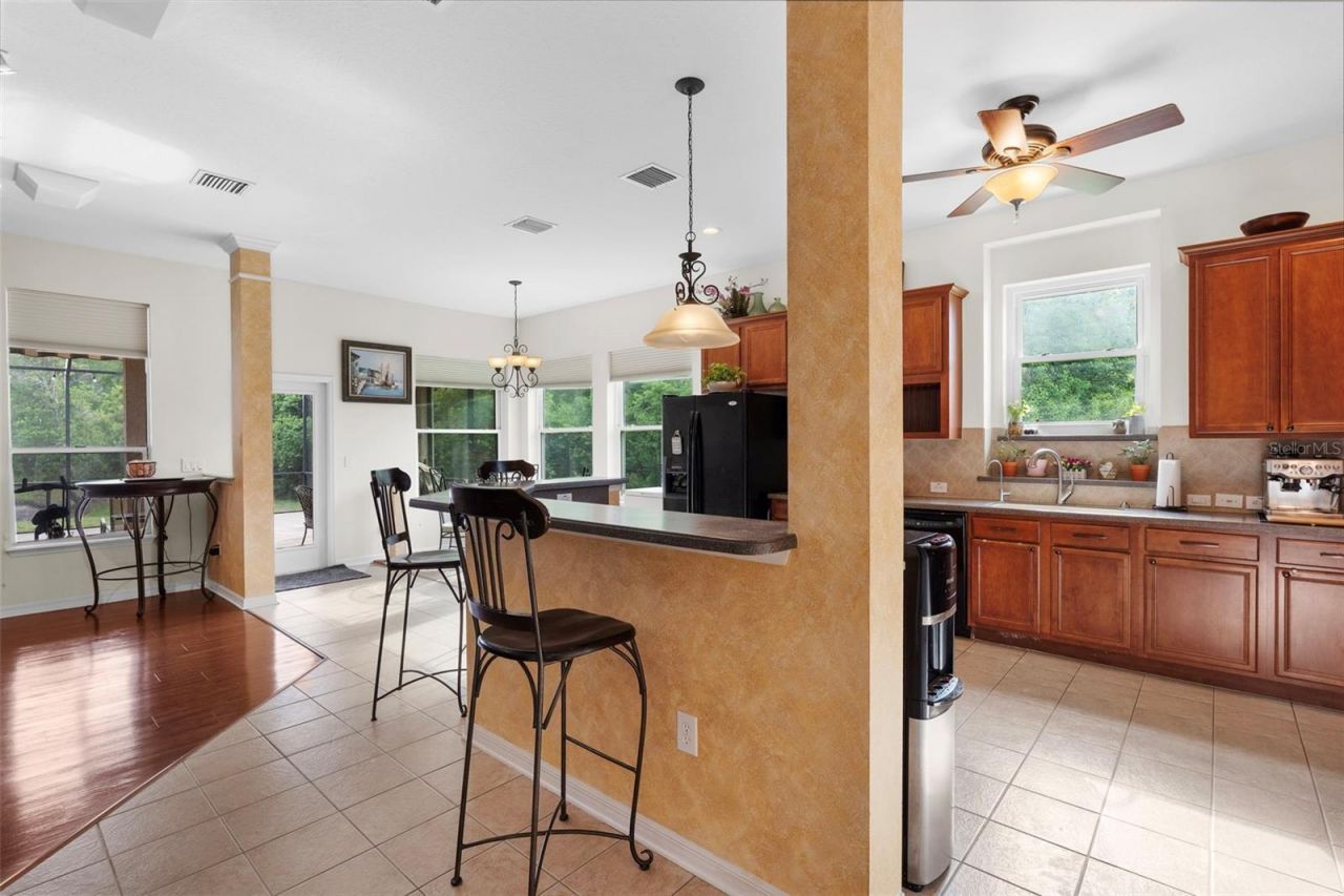 8434 Westerland Drive, Land O Lakes, FL 34637 Photo