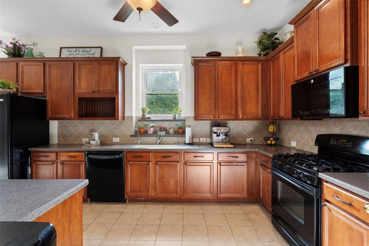 8434 Westerland Drive, Land O Lakes, FL 34637 Photo