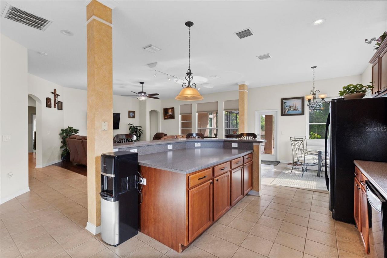 8434 Westerland Drive, Land O Lakes, FL 34637 Photo