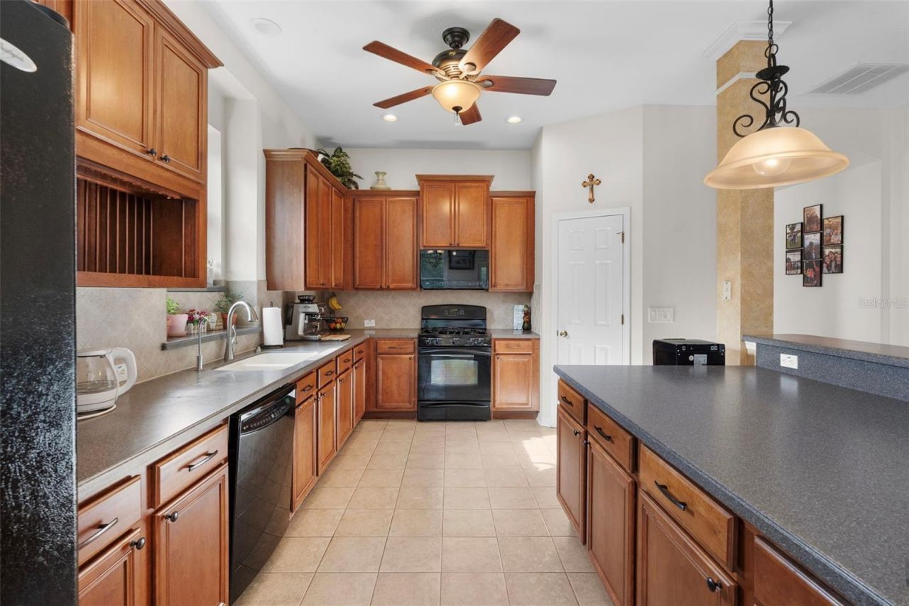 8434 Westerland Drive, Land O Lakes, FL 34637 Photo