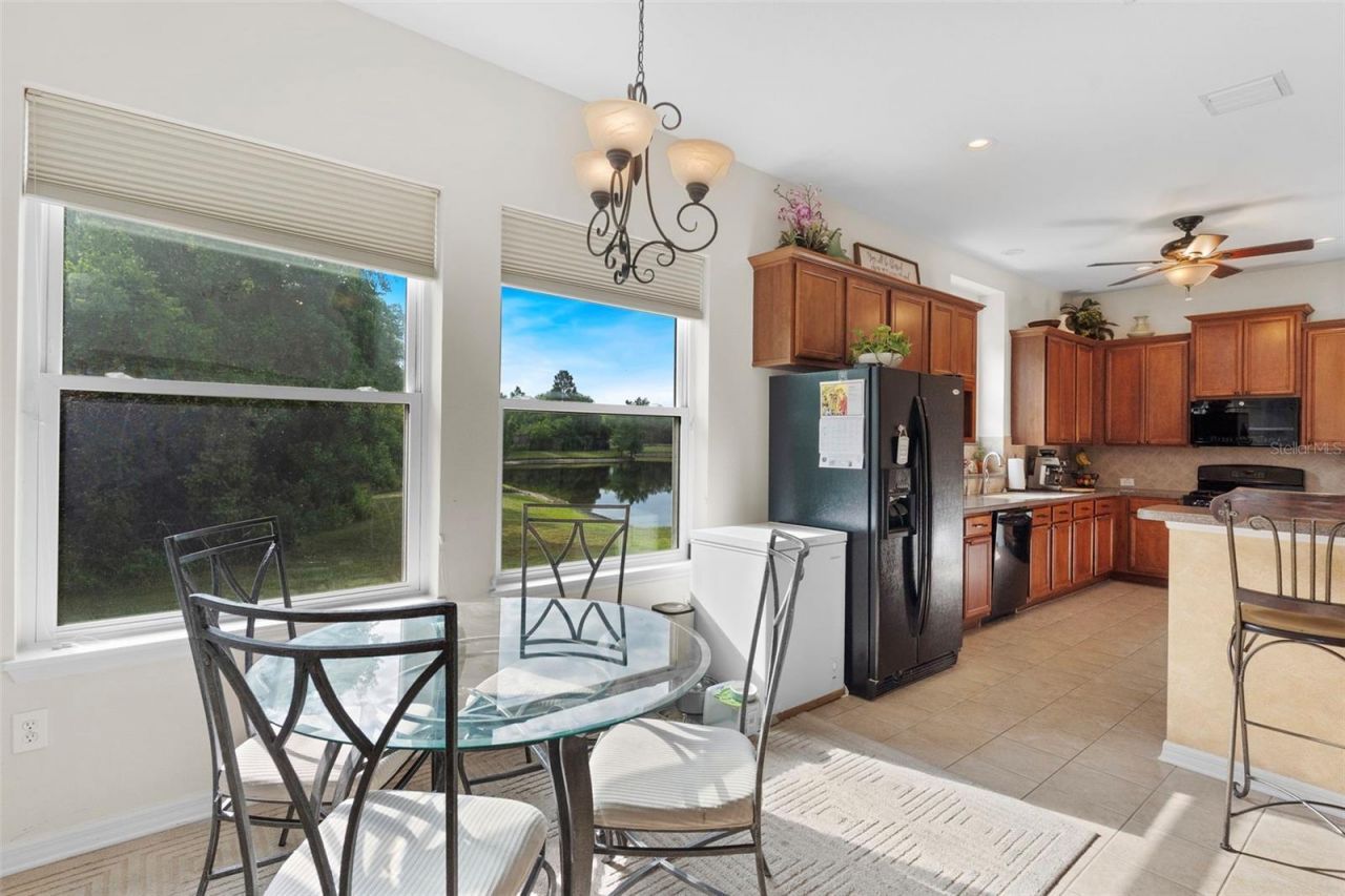8434 Westerland Drive, Land O Lakes, FL 34637 Photo
