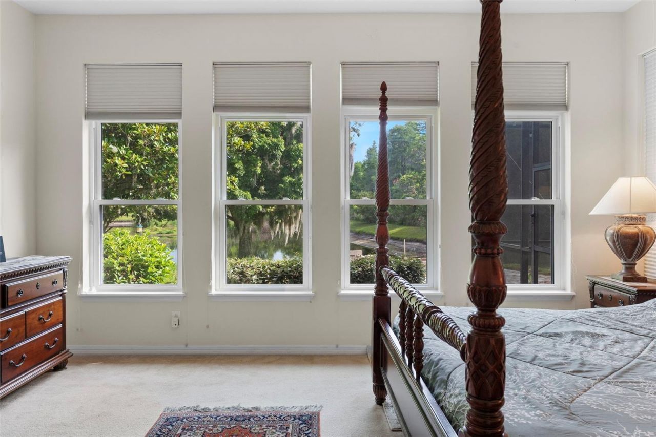 8434 Westerland Drive, Land O Lakes, FL 34637 Photo
