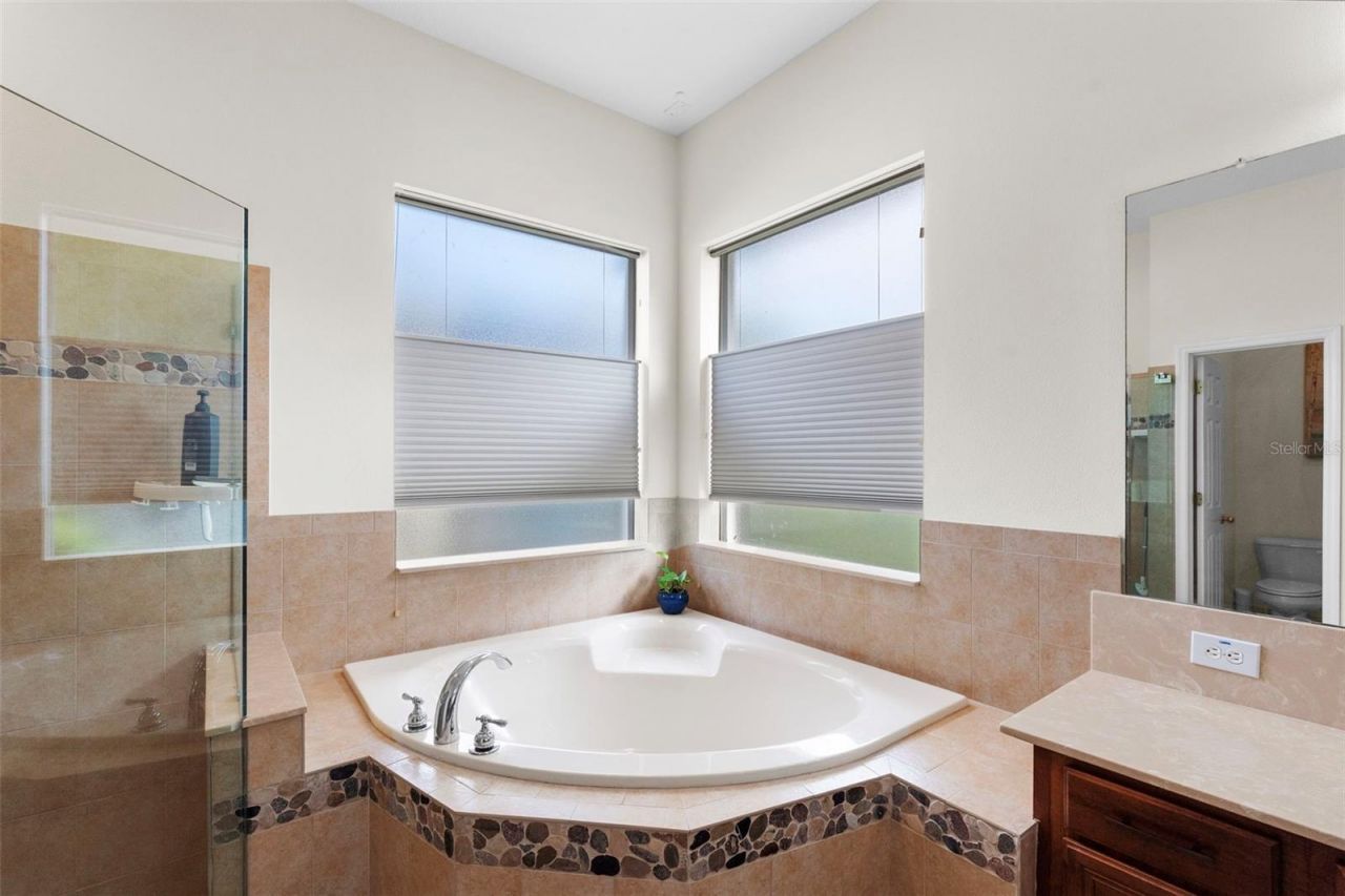 8434 Westerland Drive, Land O Lakes, FL 34637 Photo
