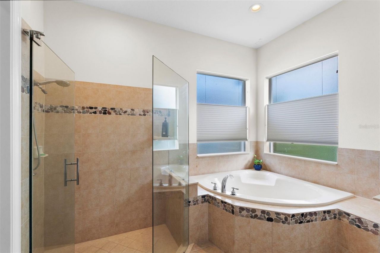 8434 Westerland Drive, Land O Lakes, FL 34637 Photo