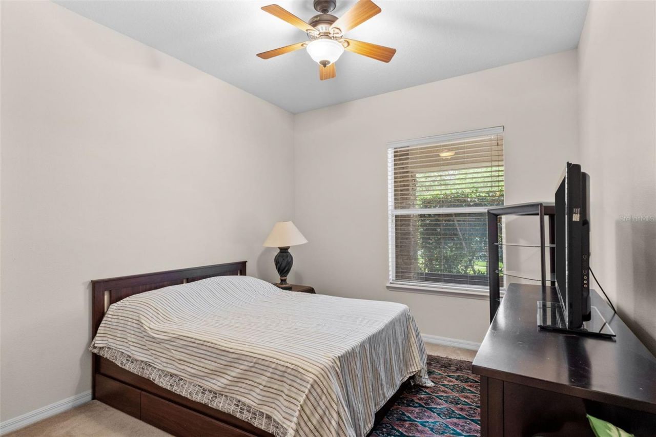 8434 Westerland Drive, Land O Lakes, FL 34637 Photo