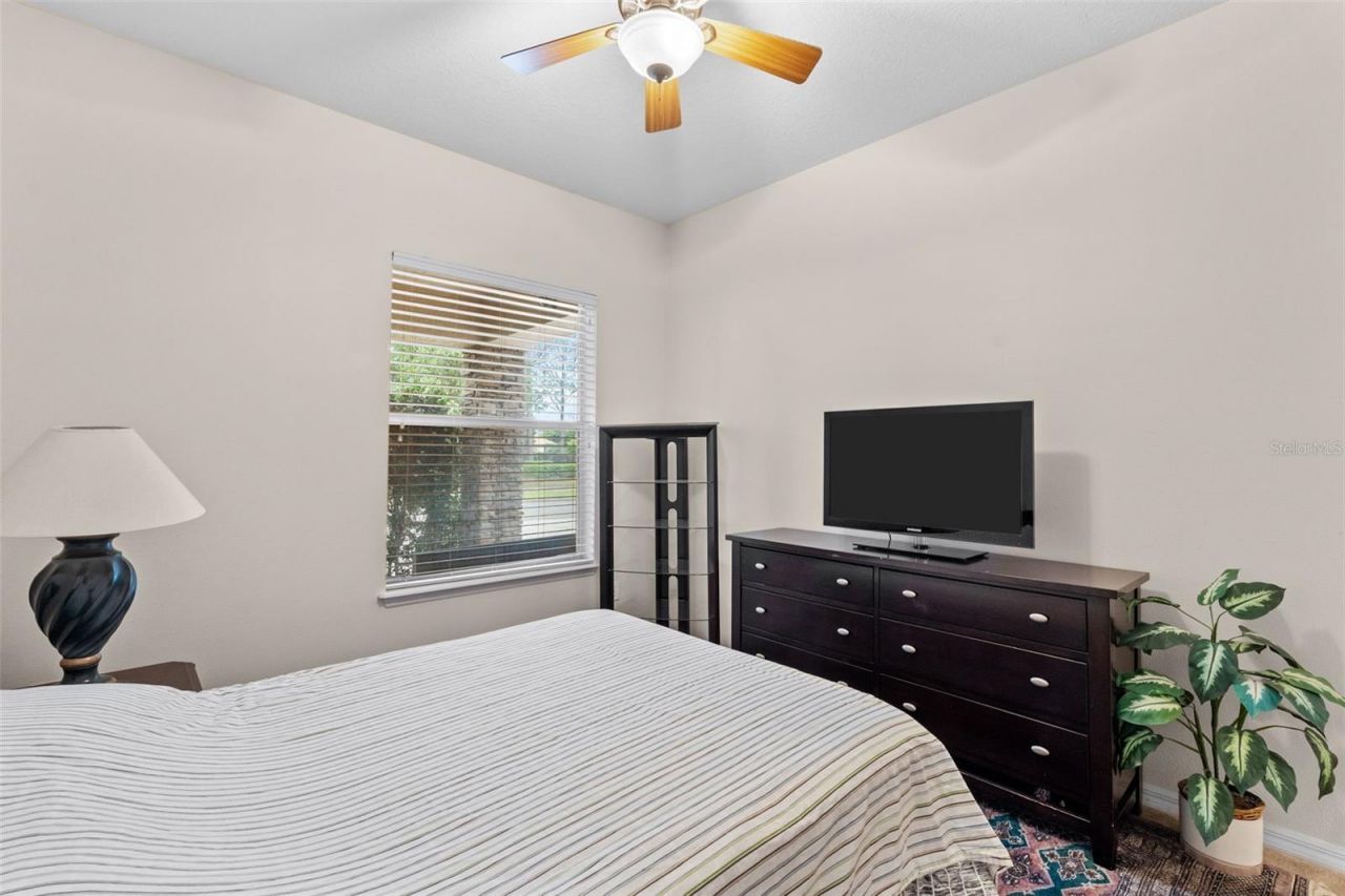 8434 Westerland Drive, Land O Lakes, FL 34637 Photo