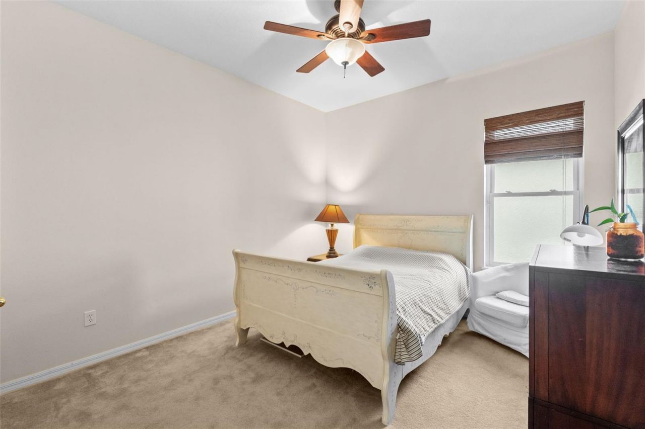 8434 Westerland Drive, Land O Lakes, FL 34637 Photo