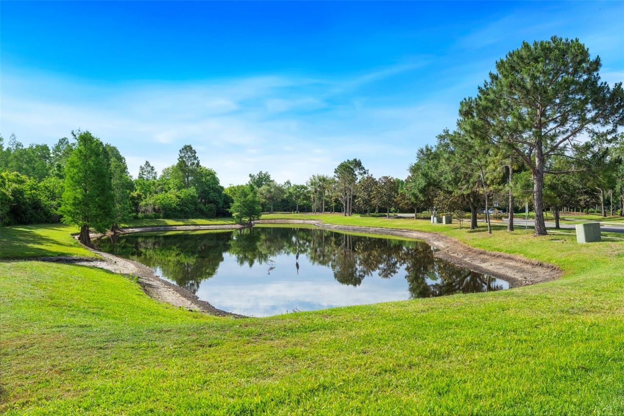 8434 Westerland Drive, Land O Lakes, FL 34637 Photo