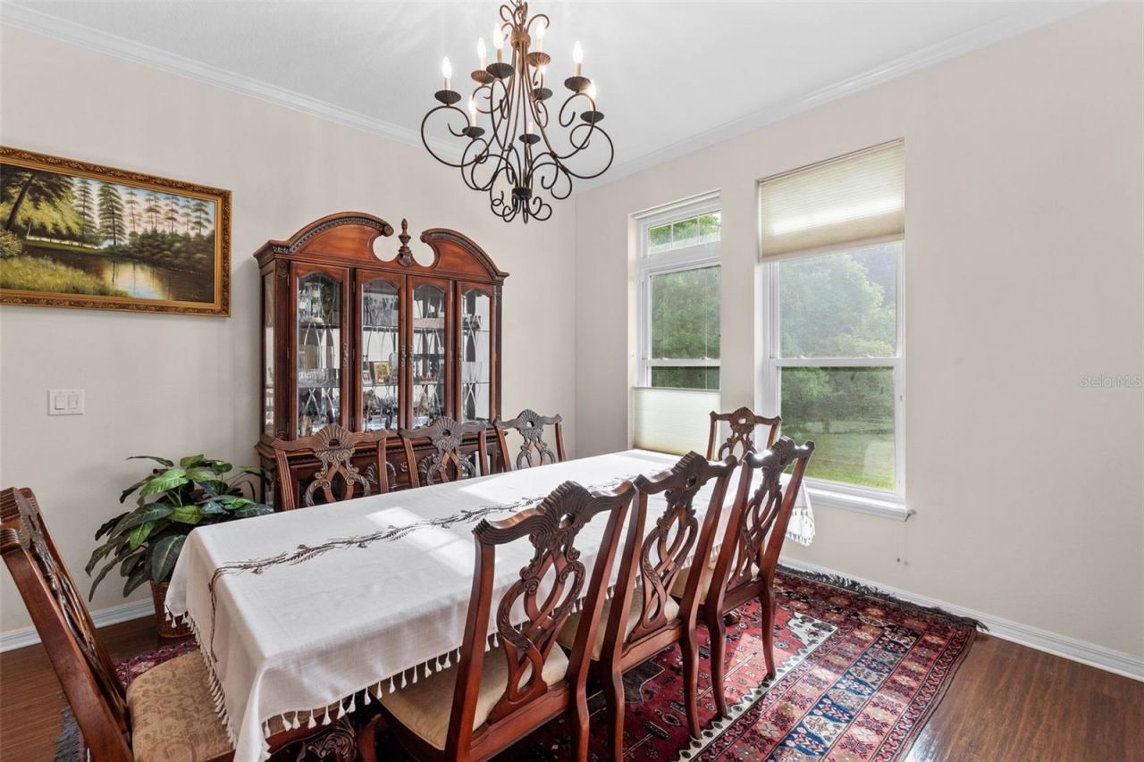 8434 Westerland Drive, Land O Lakes, FL 34637 Photo