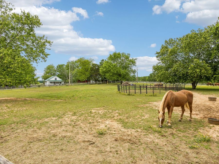 Property Image 69