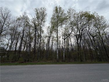 0 Farney Pit Rd, Carthage, NY 13619