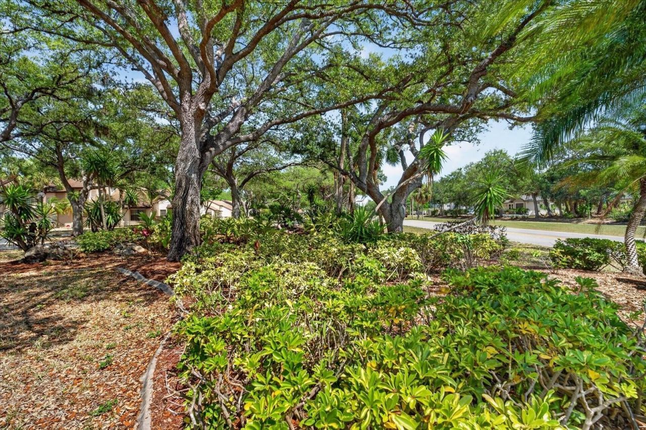 5261 Brassy Loop, North Port, FL 34287 Photo