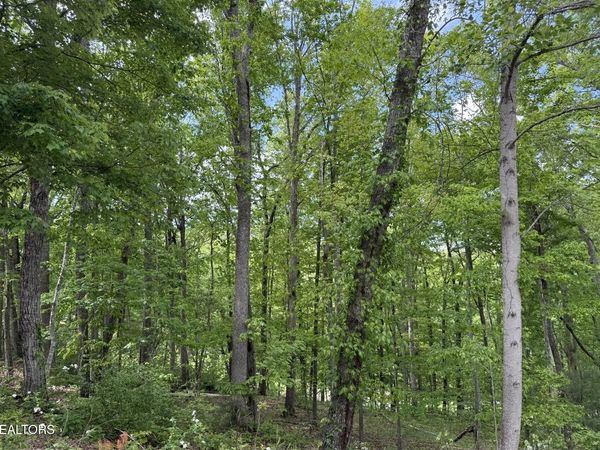 21 Claremont Circle, Crossville, TN 38558