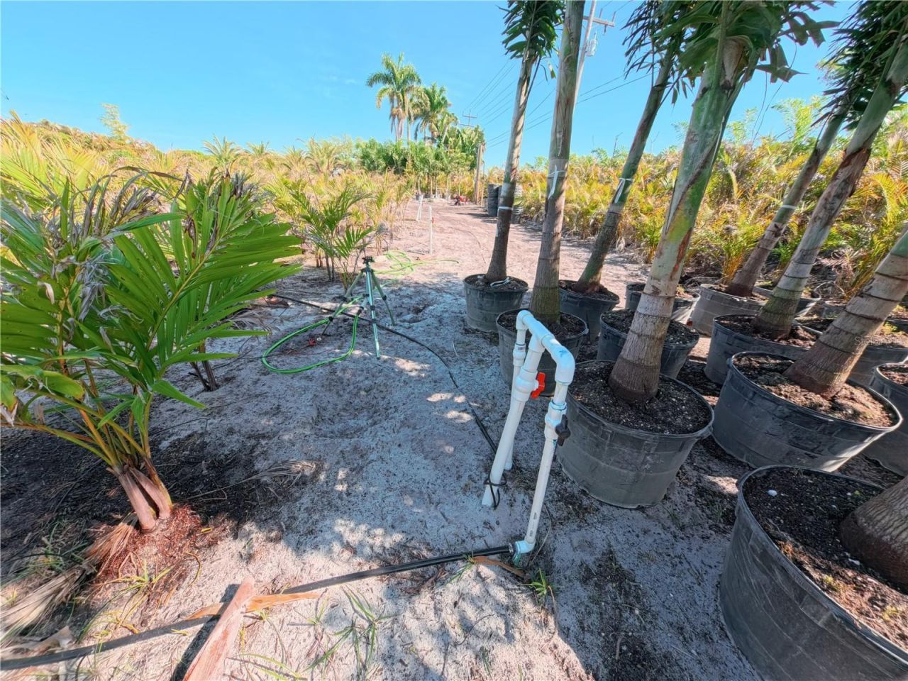 11851 Stringfellow Road , Bokeelia, FL 33922 Photo