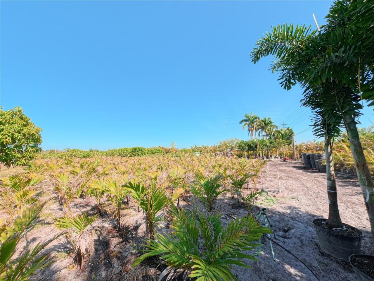 11851 Stringfellow Road , Bokeelia, FL 33922 Photo
