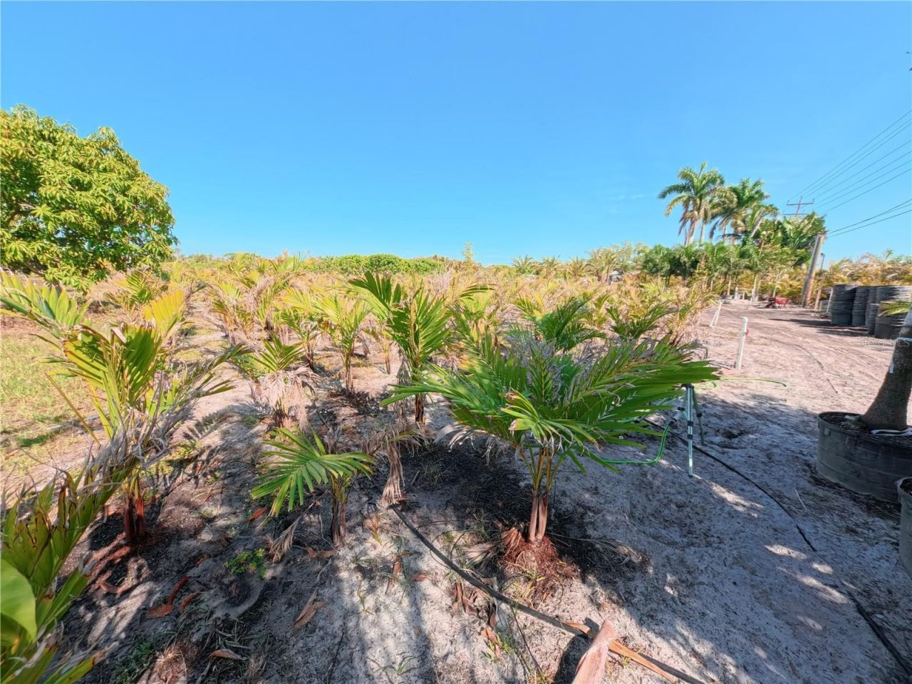 11851 Stringfellow Road , Bokeelia, FL 33922 Photo