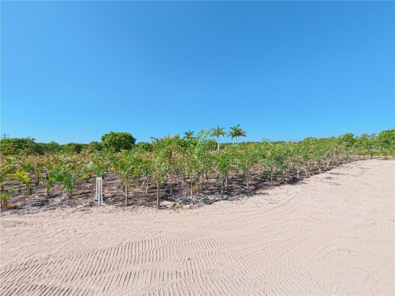 11851 Stringfellow Road , Bokeelia, FL 33922 Photo