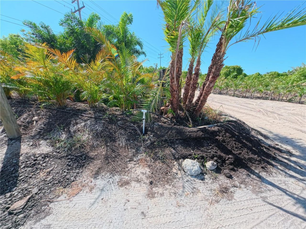 11851 Stringfellow Road , Bokeelia, FL 33922 Photo