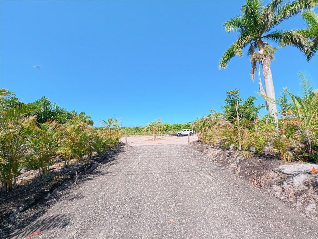 11851 Stringfellow Road , Bokeelia, FL 33922 Photo