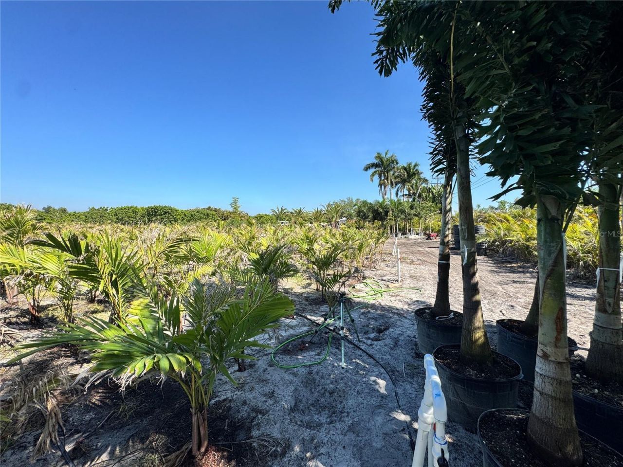11851 Stringfellow Road , Bokeelia, FL 33922 Photo