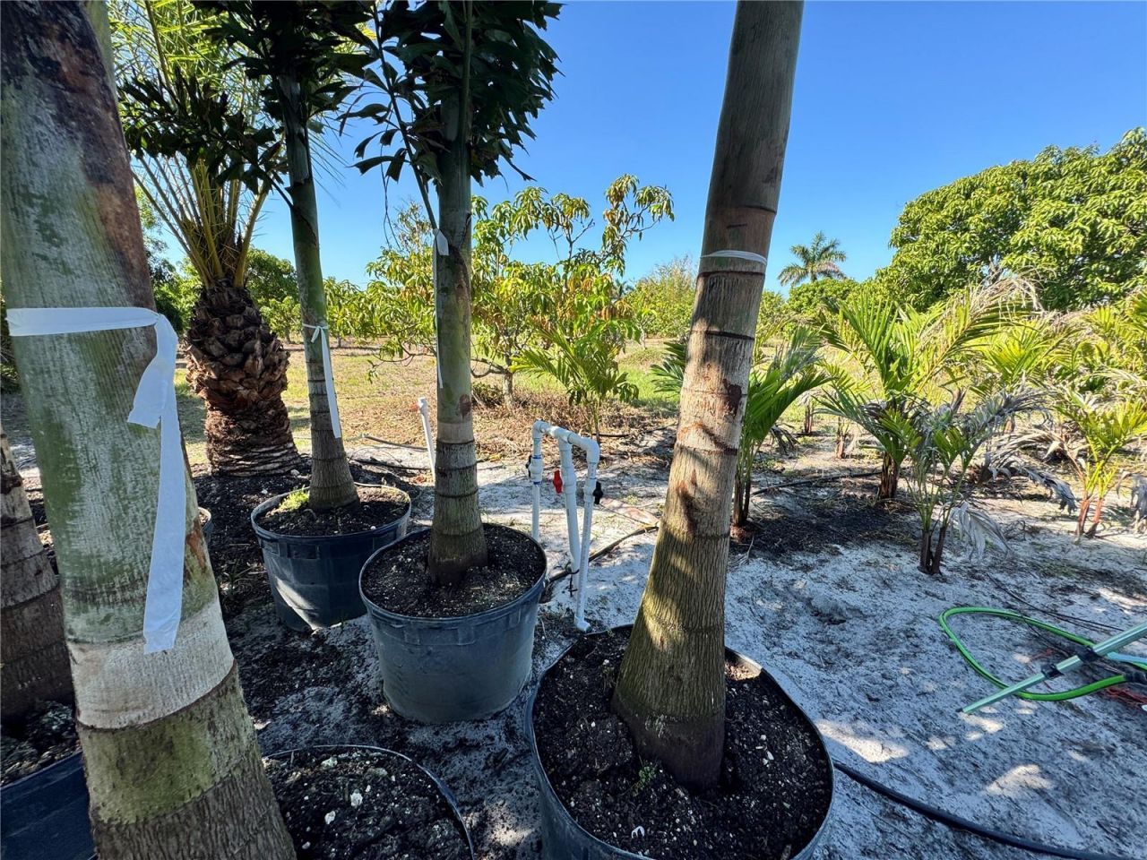 11851 Stringfellow Road , Bokeelia, FL 33922 Photo