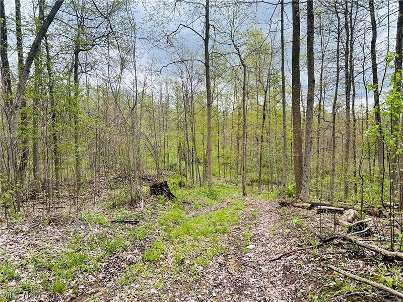 Auburn Road, Newbury, OH 44065 Photo 10