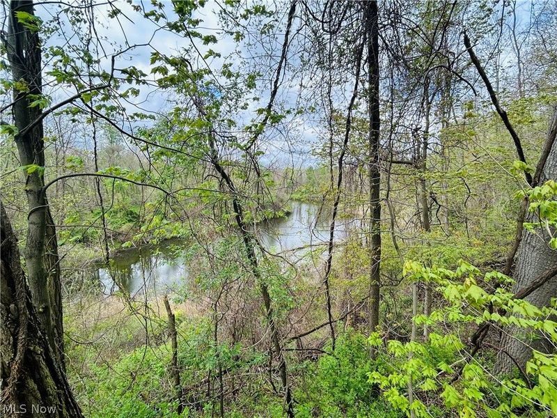 Auburn Road, Newbury, OH 44065 Photo 12