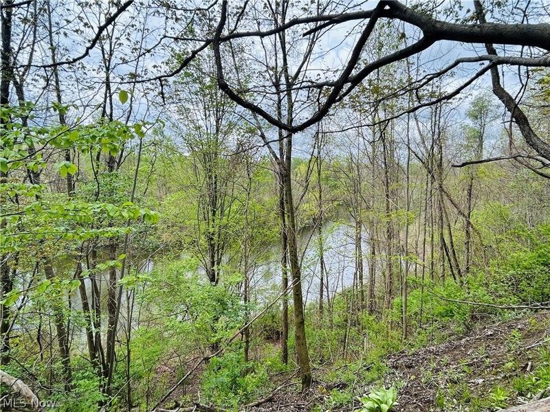 Auburn Road, Newbury, OH 44065 Photo 13