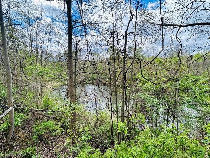 Auburn Road, Newbury, OH 44065 Photo 15