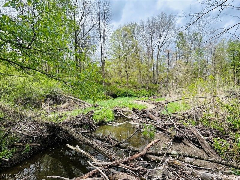 Auburn Road, Newbury, OH 44065 Photo 22