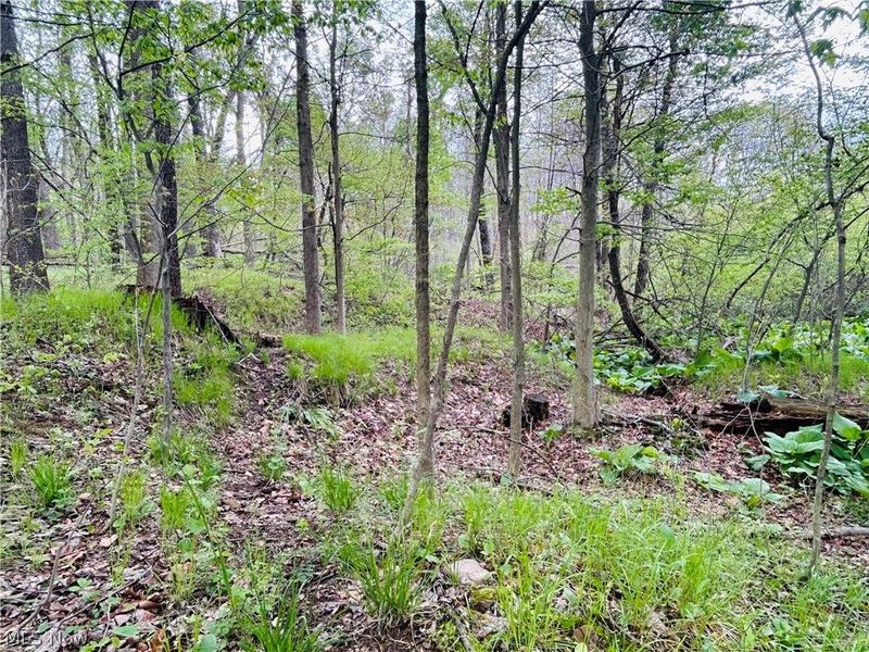 Auburn Road, Newbury, OH 44065 Photo 29