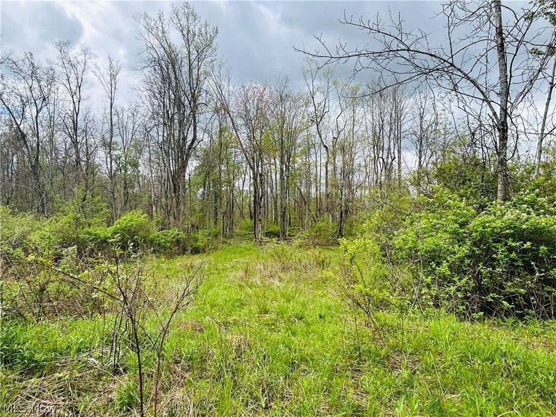 Auburn Road, Newbury, OH 44065 Photo 6