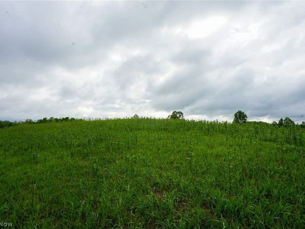 Van Fossen Ln , Chesterhill, OH 43728